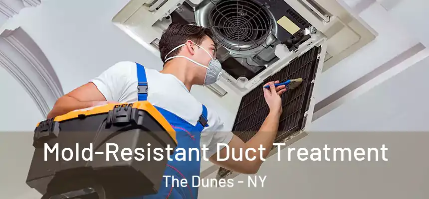  Mold-Resistant Duct Treatment The Dunes - NY