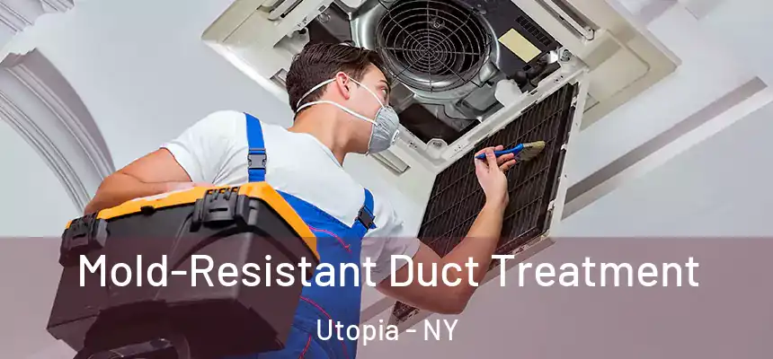 Mold-Resistant Duct Treatment Utopia - NY