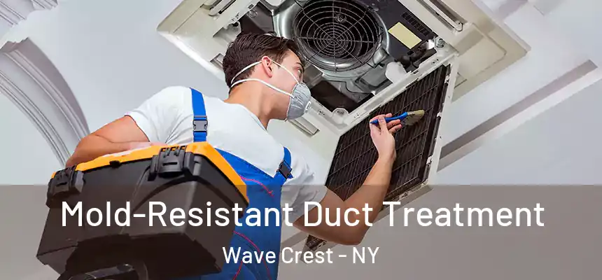  Mold-Resistant Duct Treatment Wave Crest - NY