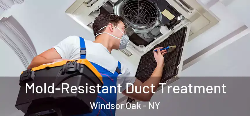  Mold-Resistant Duct Treatment Windsor Oak - NY