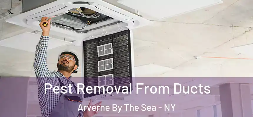  Pest Removal From Ducts Arverne By The Sea - NY