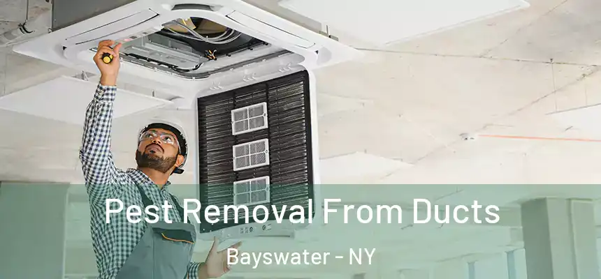 Pest Removal From Ducts Bayswater - NY