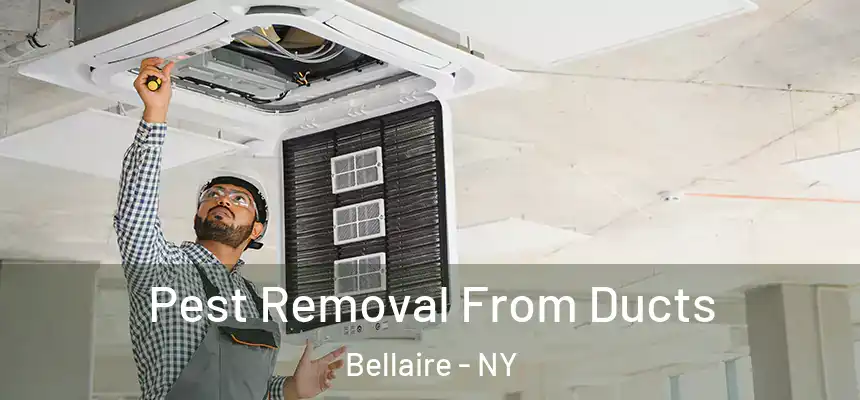  Pest Removal From Ducts Bellaire - NY