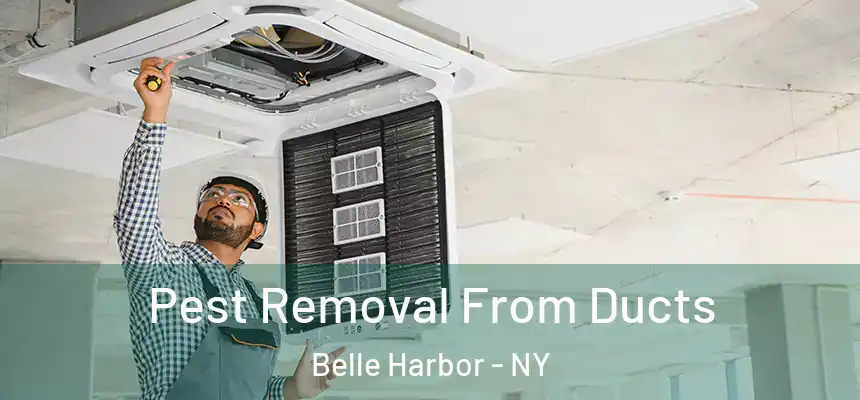  Pest Removal From Ducts Belle Harbor - NY