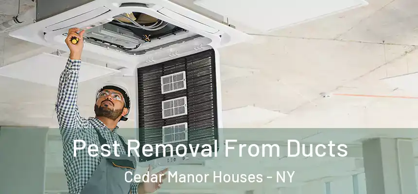  Pest Removal From Ducts Cedar Manor Houses - NY