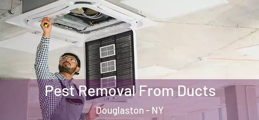 Pest Removal From Ducts Douglaston - NY