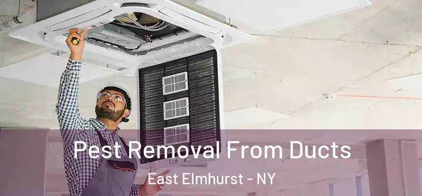  Pest Removal From Ducts East Elmhurst - NY