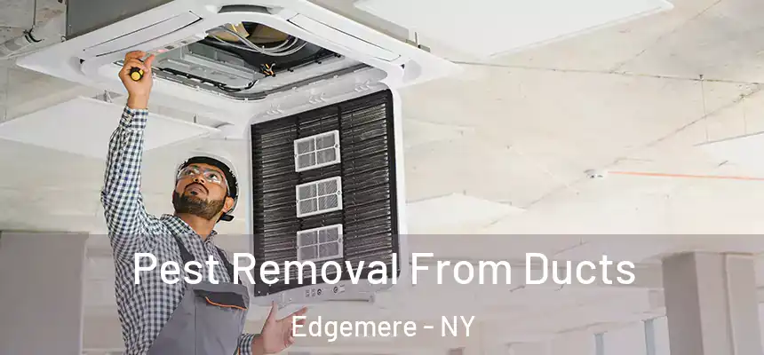  Pest Removal From Ducts Edgemere - NY