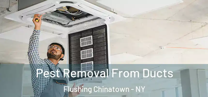 Pest Removal From Ducts Flushing Chinatown - NY