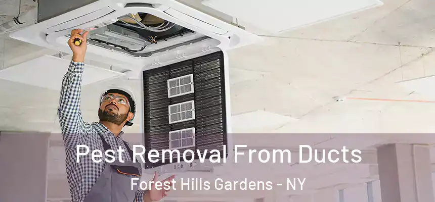  Pest Removal From Ducts Forest Hills Gardens - NY