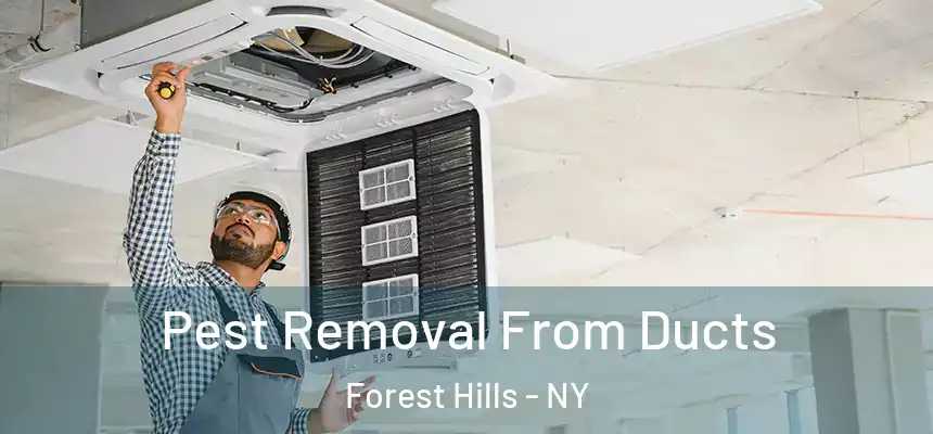  Pest Removal From Ducts Forest Hills - NY