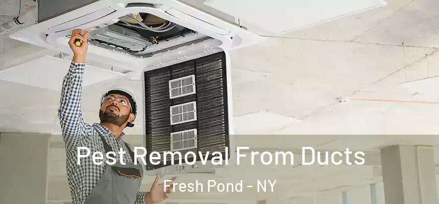  Pest Removal From Ducts Fresh Pond - NY