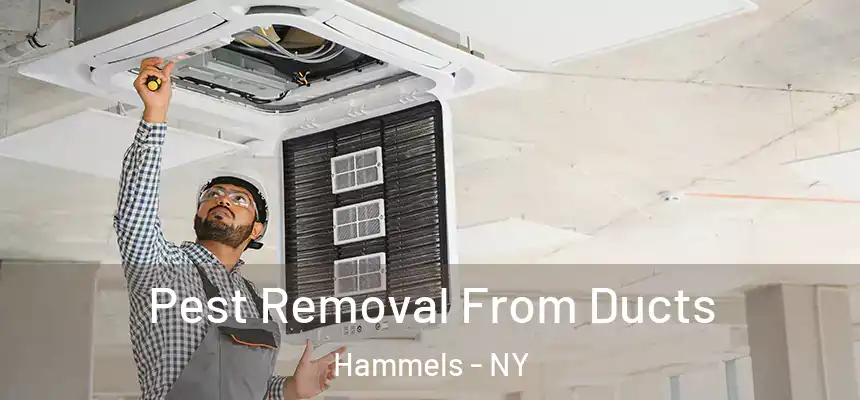  Pest Removal From Ducts Hammels - NY