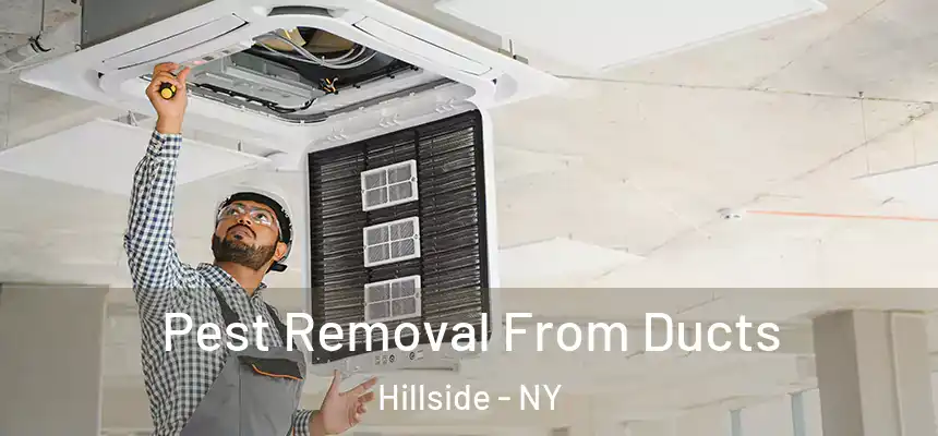  Pest Removal From Ducts Hillside - NY