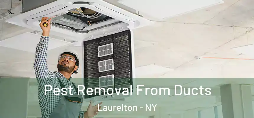 Pest Removal From Ducts Laurelton - NY