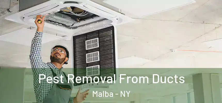 Pest Removal From Ducts Malba - NY