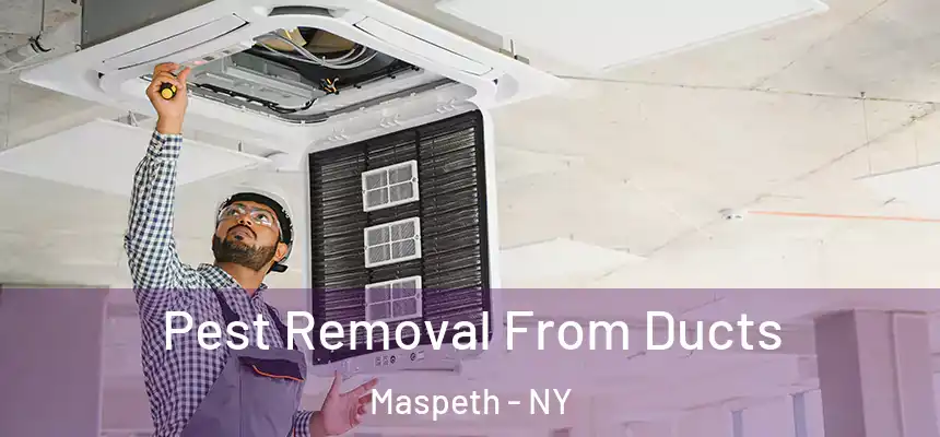 Pest Removal From Ducts Maspeth - NY