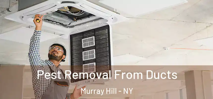 Pest Removal From Ducts Murray Hill - NY