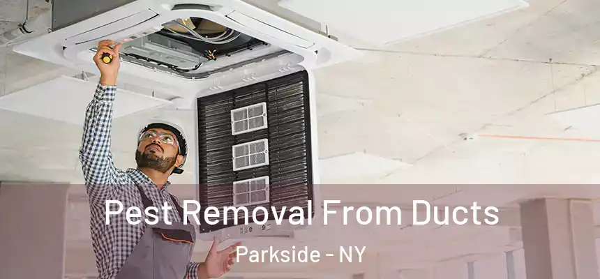 Pest Removal From Ducts Parkside - NY