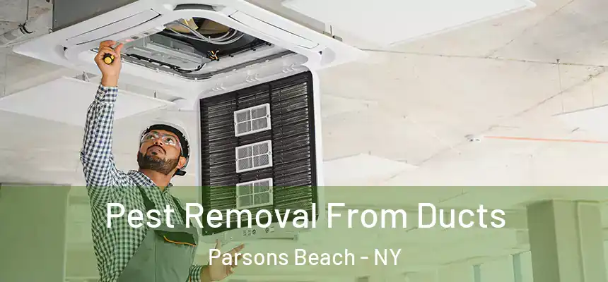 Pest Removal From Ducts Parsons Beach - NY