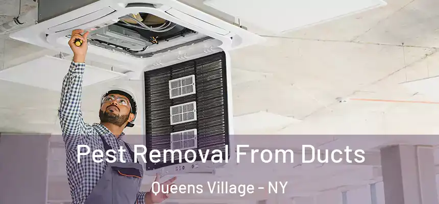 Pest Removal From Ducts Queens Village - NY