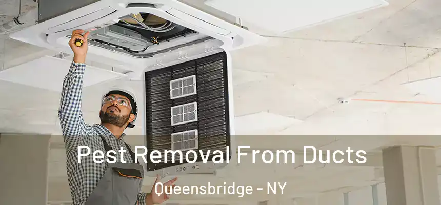  Pest Removal From Ducts Queensbridge - NY