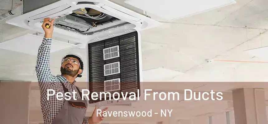  Pest Removal From Ducts Ravenswood - NY