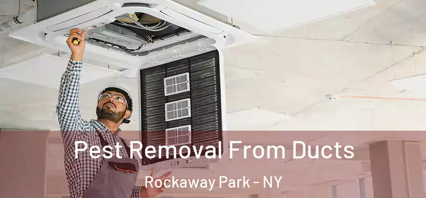 Pest Removal From Ducts Rockaway Park - NY