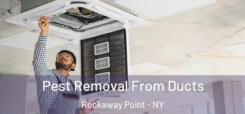 Pest Removal From Ducts Rockaway Point - NY