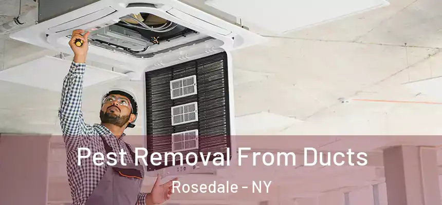 Pest Removal From Ducts Rosedale - NY
