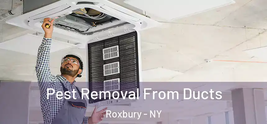 Pest Removal From Ducts Roxbury - NY