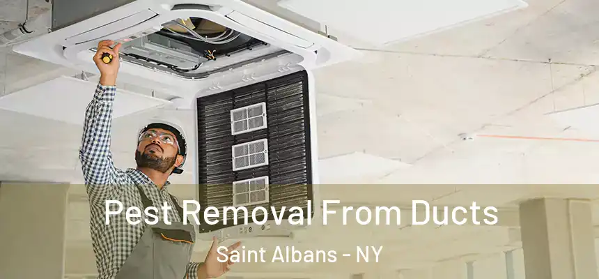  Pest Removal From Ducts Saint Albans - NY