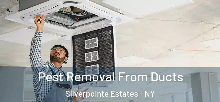 Pest Removal From Ducts Silverpointe Estates - NY