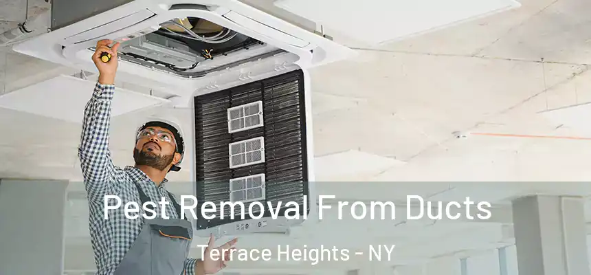  Pest Removal From Ducts Terrace Heights - NY