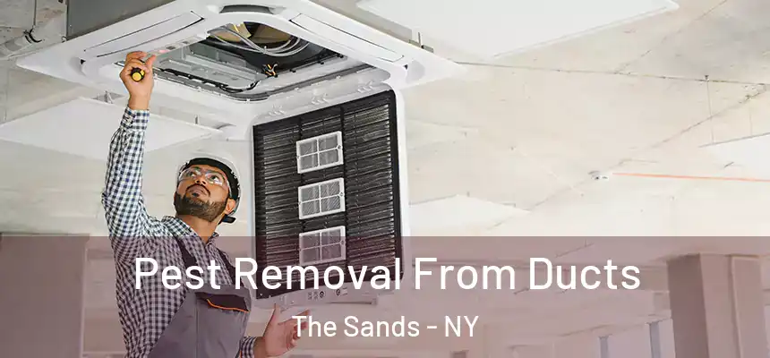  Pest Removal From Ducts The Sands - NY