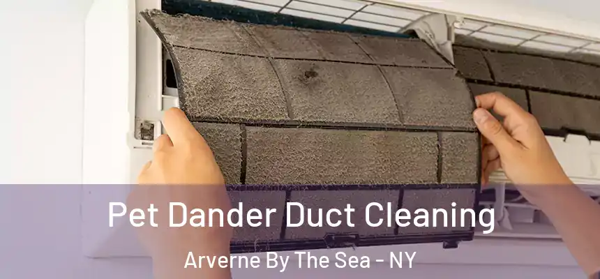 Pet Dander Duct Cleaning Arverne By The Sea - NY