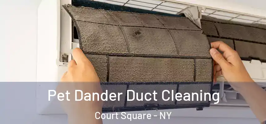 Pet Dander Duct Cleaning Court Square - NY
