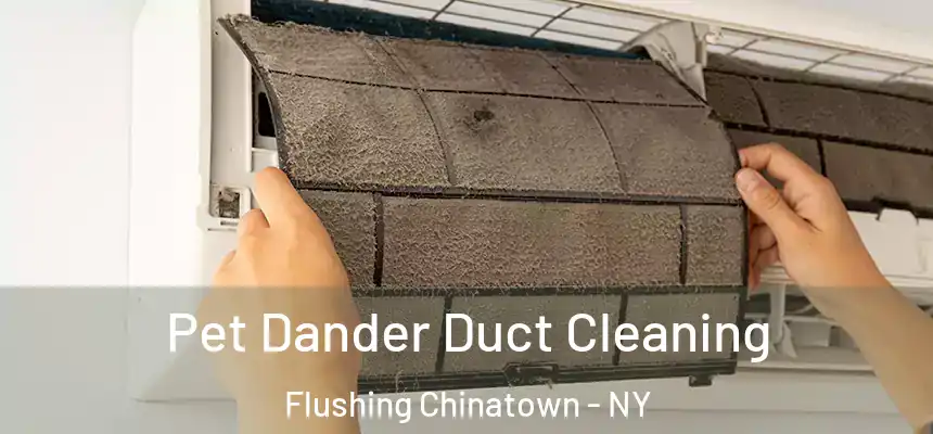 Pet Dander Duct Cleaning Flushing Chinatown - NY