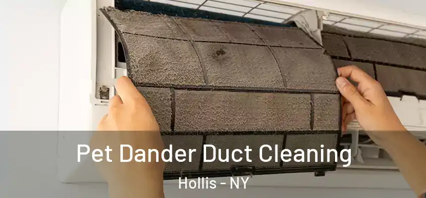  Pet Dander Duct Cleaning Hollis - NY