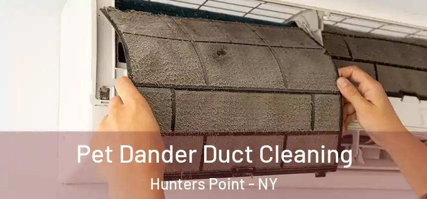 Pet Dander Duct Cleaning Hunters Point - NY