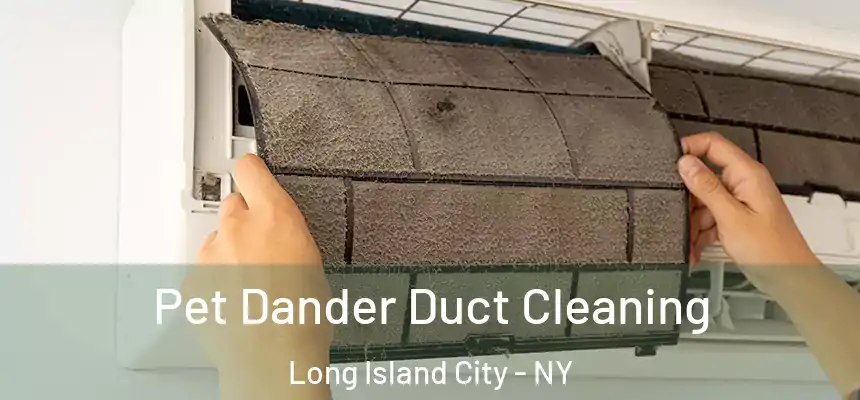Pet Dander Duct Cleaning Long Island City - NY