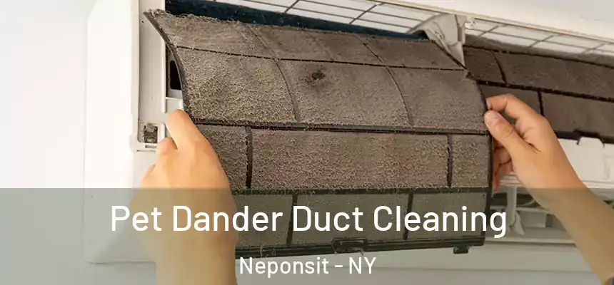  Pet Dander Duct Cleaning Neponsit - NY