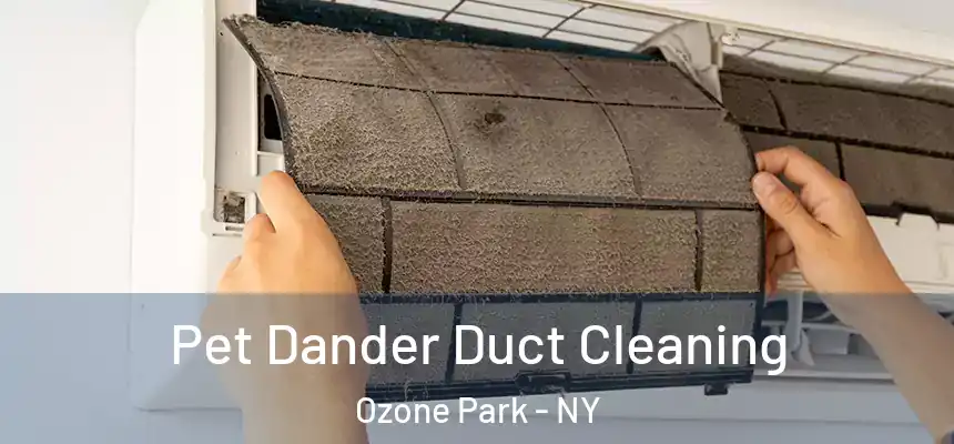 Pet Dander Duct Cleaning Ozone Park - NY