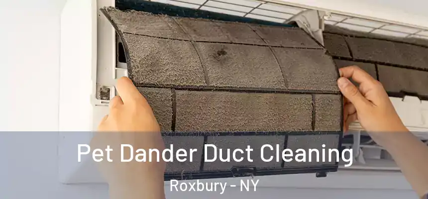  Pet Dander Duct Cleaning Roxbury - NY