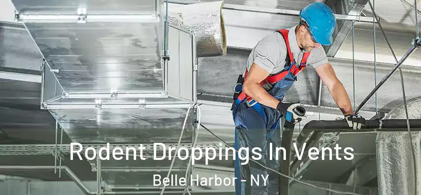  Rodent Droppings In Vents Belle Harbor - NY