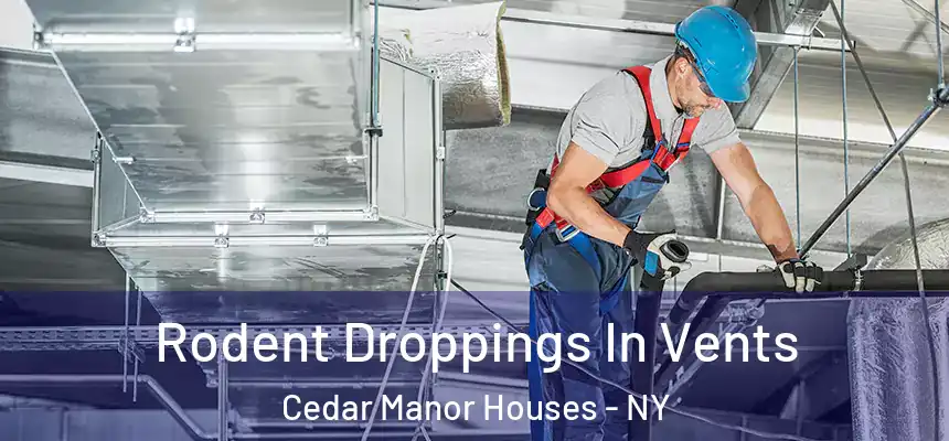  Rodent Droppings In Vents Cedar Manor Houses - NY