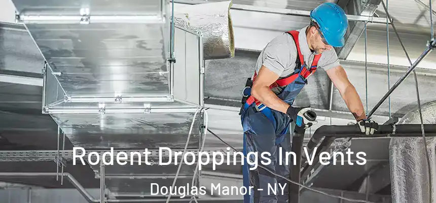  Rodent Droppings In Vents Douglas Manor - NY