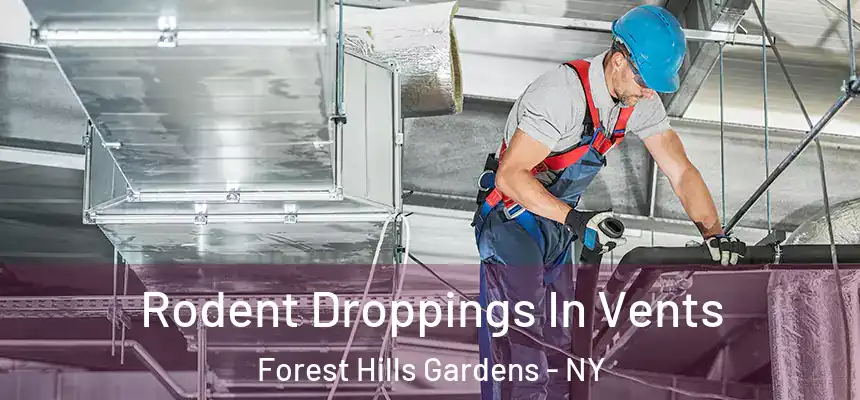  Rodent Droppings In Vents Forest Hills Gardens - NY