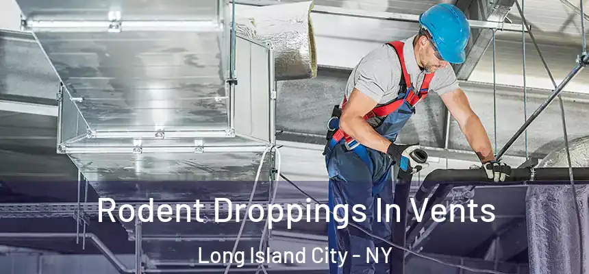 Rodent Droppings In Vents Long Island City - NY