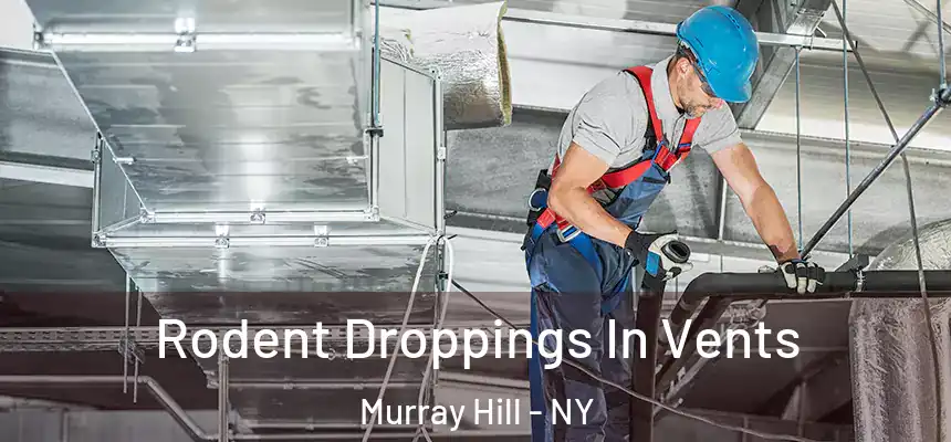  Rodent Droppings In Vents Murray Hill - NY
